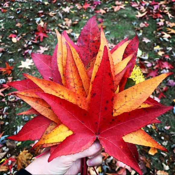 Meet your Posher, Mari - Picture 13 of 16